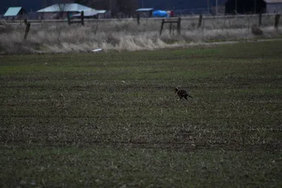 DSC_5871 (Large).JPG